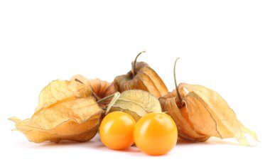 physalis öbek üzerinde beyaz izole