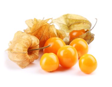 physalis öbek üzerinde beyaz izole