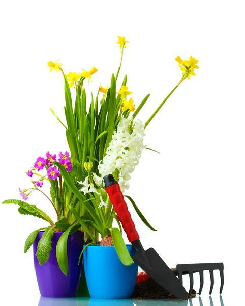 Hermosas flores de primavera, tierra y herramientas aisladas en blanco — Foto de Stock