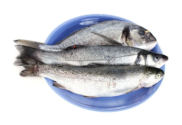 stock image Fresh fishes on plate isolated on white