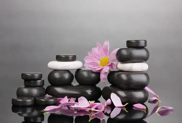 Wellness kameny s lístky a květin na šedém pozadí — Stock fotografie