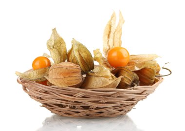 Physalis sepette beyaz izole