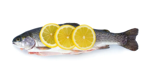 Pesce fresco con limone isolato su bianco — Foto Stock