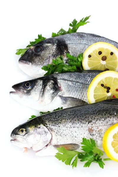 Świeże ryby z cytryny, natki pietruszki i przyprawy na białym tle — Zdjęcie stockowe