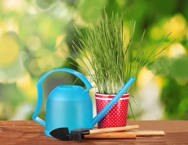 Green grass in a flowerpot on green background — Stock Photo, Image