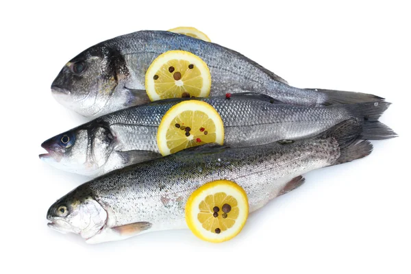 Pesci freschi con limone e pepe isolati su bianco — Foto Stock