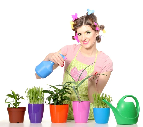 Bela feliz jovem dona de casa sprays plantas em vasos isolados em branco — Fotografia de Stock