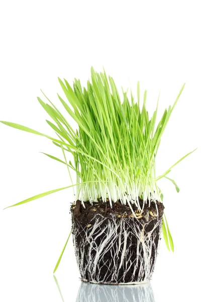 Grönt gräs med marken isoleras på vit — Stockfoto