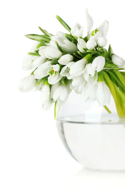 Belo buquê de gotas de neve em vaso transparente isolado em branco — Fotografia de Stock