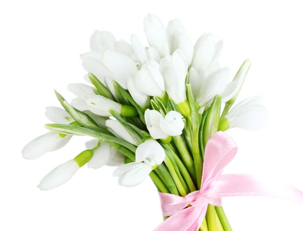 Krásnou kytici sněženky izolovaných na bílém — Stock fotografie