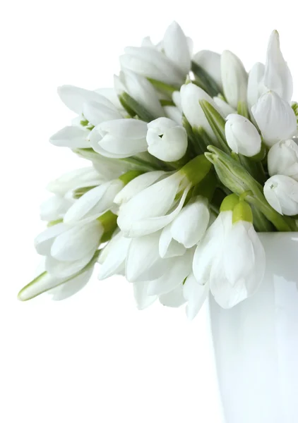 Bel mazzo di bucaneve in vaso isolato su bianco — Foto Stock