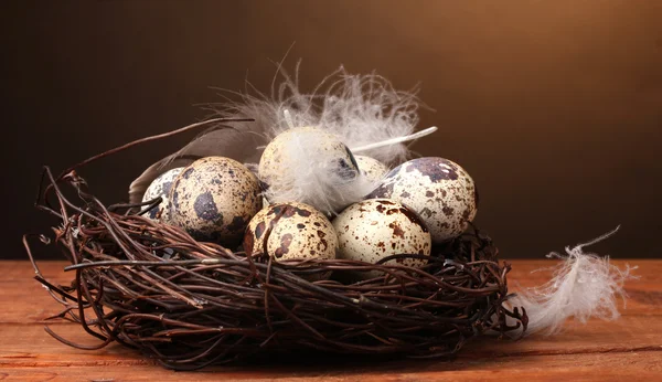 Przepiórcze jaja w gnieździe na drewnianym stole na brązowym tle — Zdjęcie stockowe