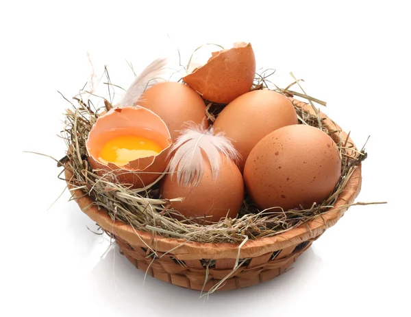 Huevos de pollo en un nido aislado en blanco —  Fotos de Stock