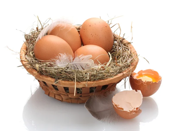 Курячі яйця в гнізді ізольовані на білому — стокове фото