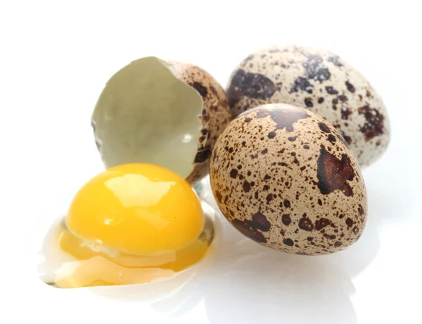 Huevos de codorniz isilados sobre blanco —  Fotos de Stock