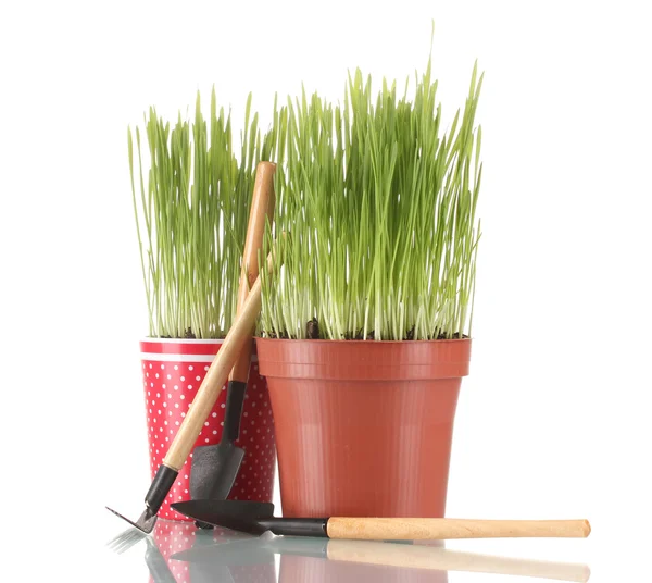 Grönt gräs i två blomkruka isolerad på vit — Stockfoto