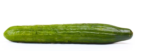 Uzun salatalık üzerinde beyaz izole — Stok fotoğraf