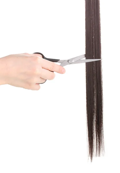 Glänzendes braunes Haar in den Händen des Friseurs isoliert auf weiß — Stockfoto