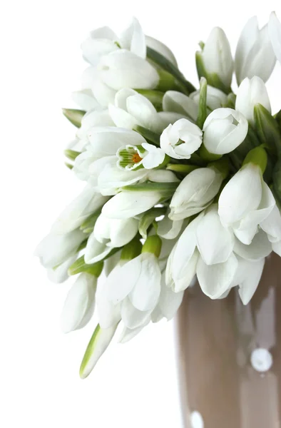 Beautiful bouquet of snowdrops in brown vase isolated on white — Stock Photo, Image