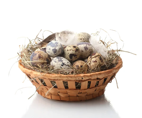 Ovos de codorna em ninho isolados em branco — Fotografia de Stock