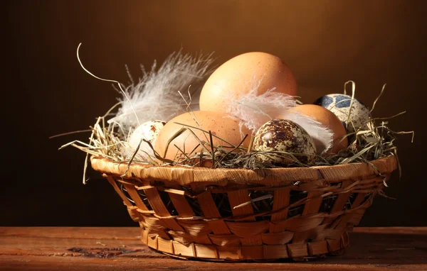 stock image Chicken and quail eggs in a nest on wooden table on brown background