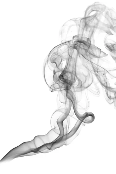 Fumaça abstrata no fundo branco — Fotografia de Stock