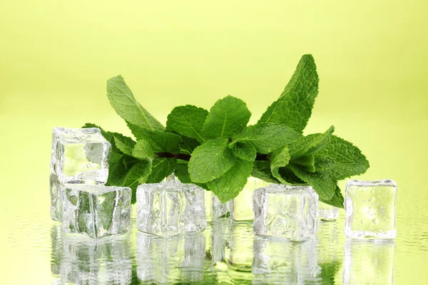 녹색 바탕에 물방울으로 신선한 민트 잎과 얼음 큐브 — 스톡 사진