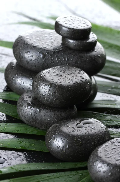 Spa stones with drops on green palm leaf on grey background — Stock Photo, Image