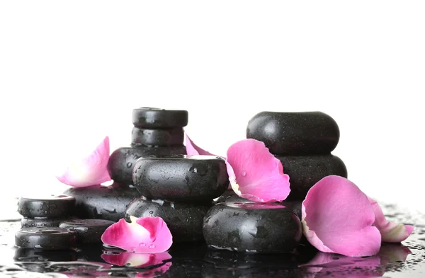 Pedras de spa com gotas e pétalas de rosa no fundo branco — Fotografia de Stock