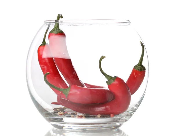 Chiles rojos picantes en vidrio aislado sobre blanco —  Fotos de Stock