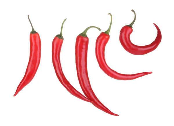 Red hot chilli papričky izolované na bílém — Stock fotografie
