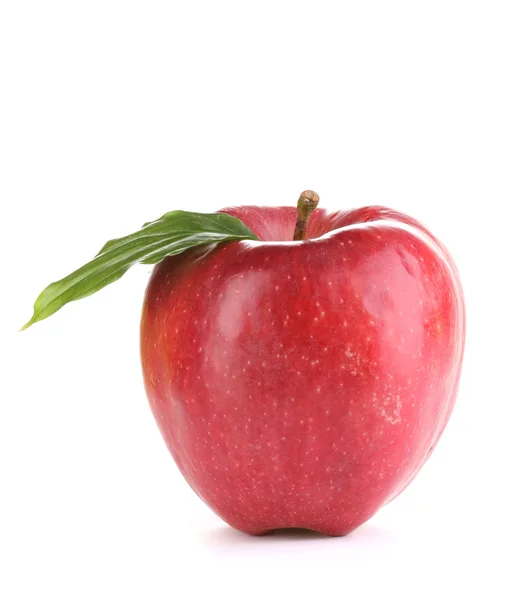 Juicy red apple isolated on white — Stock Photo, Image