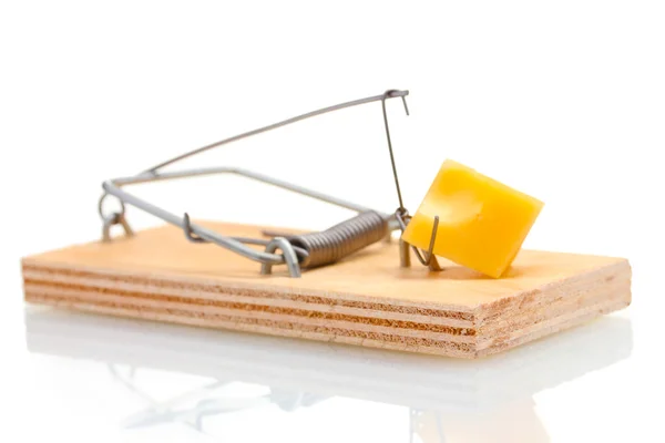 Mousetrap avec morceau de fromage isolé sur blanc — Photo