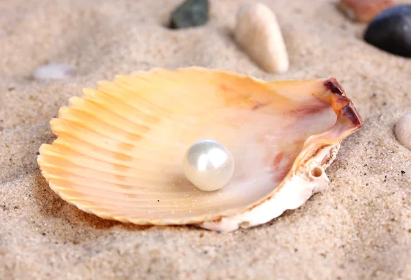 Sea shell met pearl op zand — Stockfoto