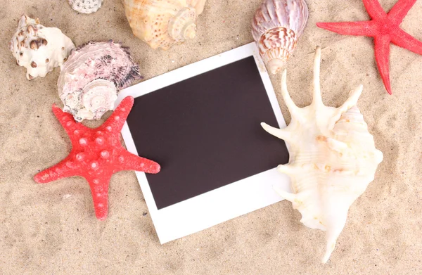 Foto med snäckor och starfishes på sand — Stockfoto