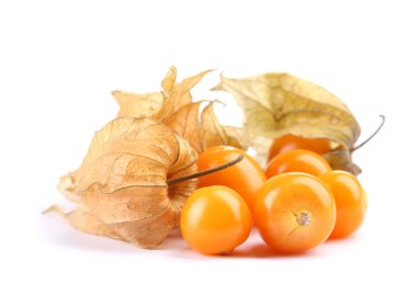 physalis öbek üzerinde beyaz izole