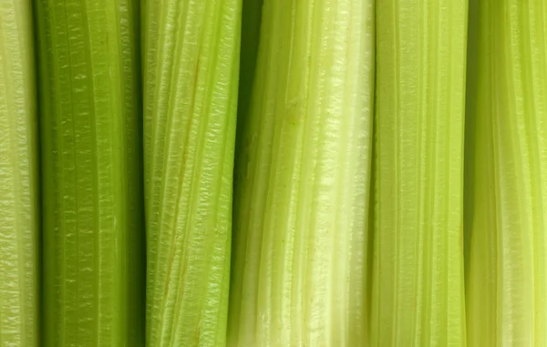 Seler zielony świeży — Zdjęcie stockowe