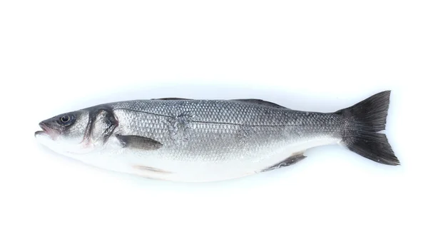 Peşte proaspăt izolat pe alb — Fotografie, imagine de stoc
