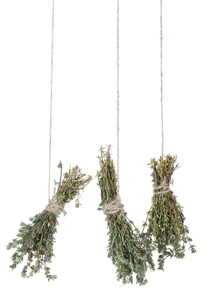 Fresh green thyme hanging on rope isolated on white — Stock Photo, Image