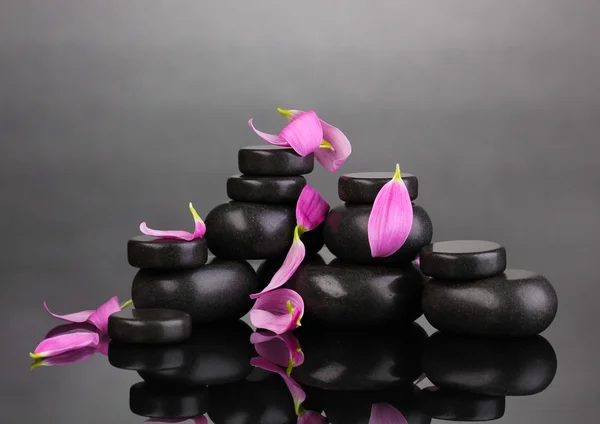 Spa stones and petals on grey background — Stock Photo, Image