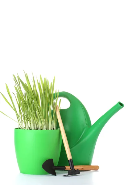 Bela grama em um vaso de flores, regando lata e jardim ferramentas isoladas em branco — Fotografia de Stock