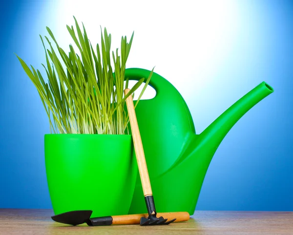 Bela grama em um vaso de flores, regando pode e ferramentas de jardim na mesa de madeira no fundo azul — Fotografia de Stock