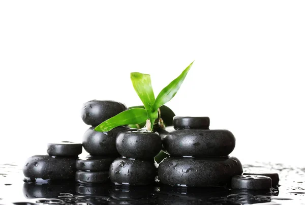 Spa stones with drops and green bamboo on white background — Stock Photo, Image