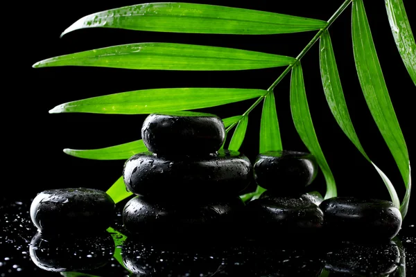 Piedras de spa con gotas y hoja de palma verde sobre fondo negro —  Fotos de Stock