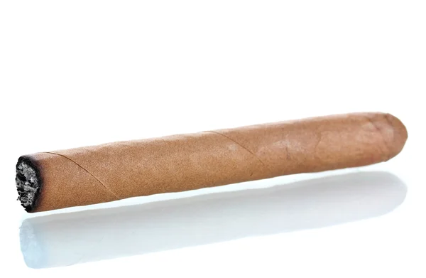Cigar isolerad på vitt — Stockfoto
