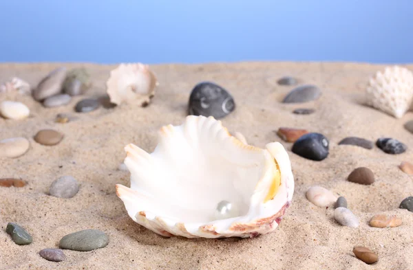 Morze muszla z perłą na piasku — Zdjęcie stockowe