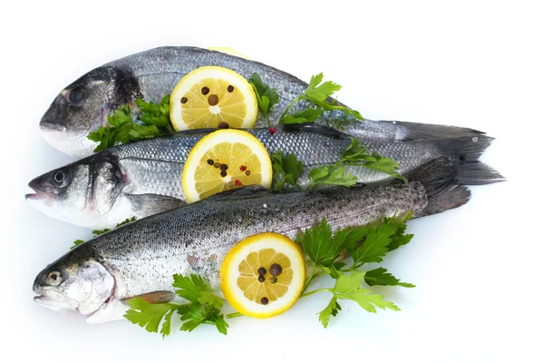 Pesci freschi con limone, prezzemolo e spezie isolati su bianco — Foto Stock
