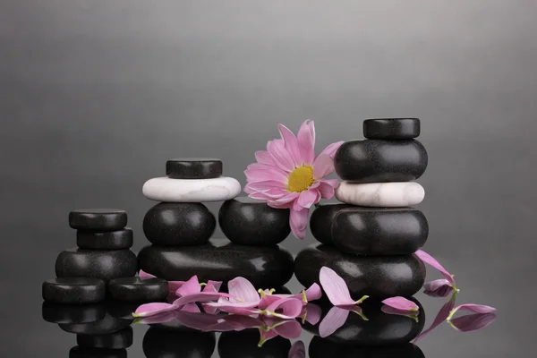 Piedras de spa con pétalos y flores sobre fondo gris —  Fotos de Stock