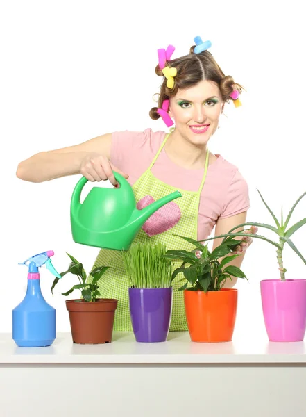 Beautiful happy young housewife watering plants in flowerpots isolated on white — Stock Photo, Image