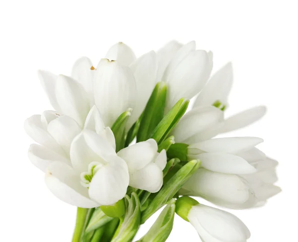 stock image Beautiful bouquet of snowdrops isolated on white